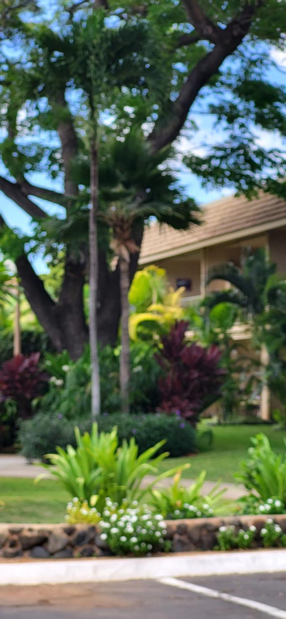Kihei Kai Nani Resort Exterior foto