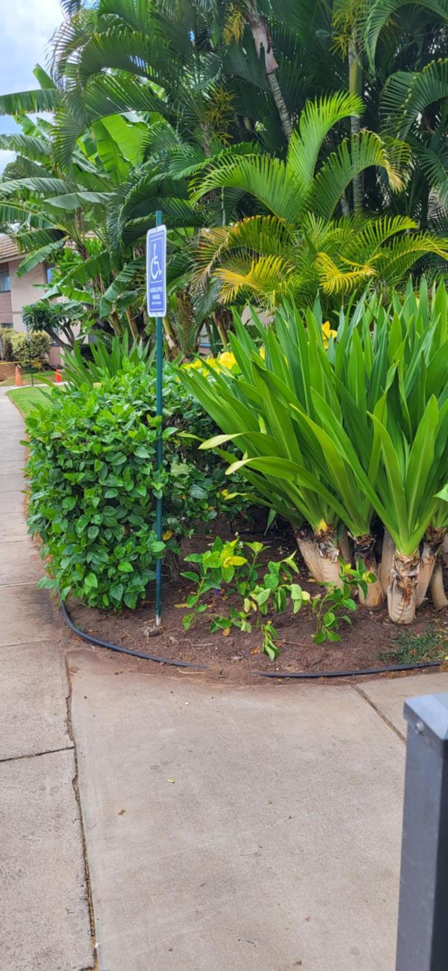 Kihei Kai Nani Resort Exterior foto