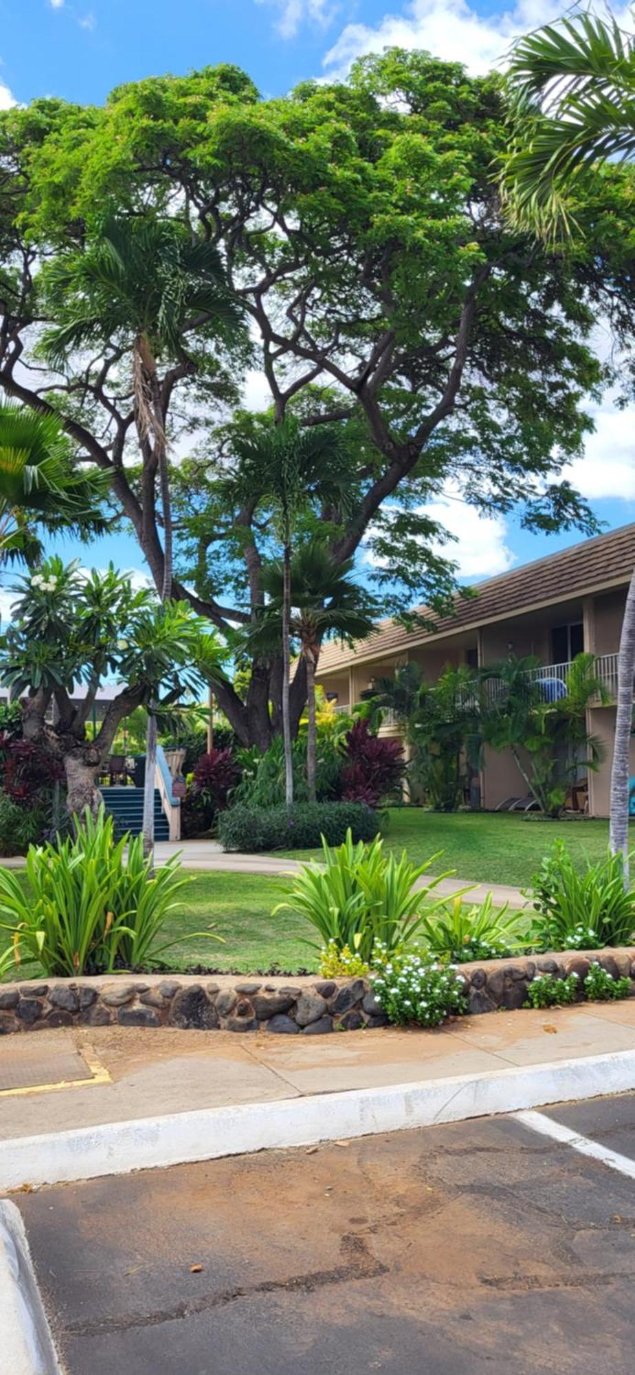 Kihei Kai Nani Resort Exterior foto